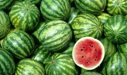 被扒料的网红吃瓜,揭秘幕后真相与网络舆论风暴